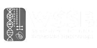 Werner Siemens-Lehrstuhl für Synthetische Biotechnologie (WSSB)